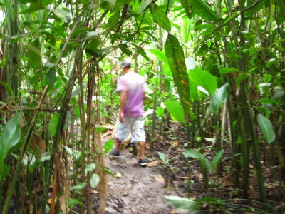 Im Wald am Ufer des Amazonas in Kolumbien bei Leticia